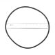 GENERIC STA-RITE TANK O-RING