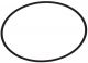 Paramount Base O-Ring
