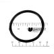 350103Z PUMP LID ORING PENTAIR