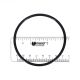 PENTAIR DIFFUSER O-RING 355331