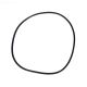 PENTAIR 39010200Z FNS O-RING
