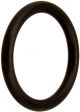 PENTAIR 51005000 O-RING