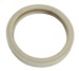 PENTAIR 79108500 LENS GASKET