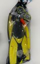 YOUTH/ADULT SNORKELING SET9-11