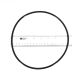 PENTAIR 355619Z SEAL PL O-RING