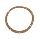 HAYWARD VINYL NICHE GASKET