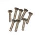 HAYWARD MAIN DRAIN SCREW SET