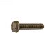 HAYWARD TUBE SHEET SCREW